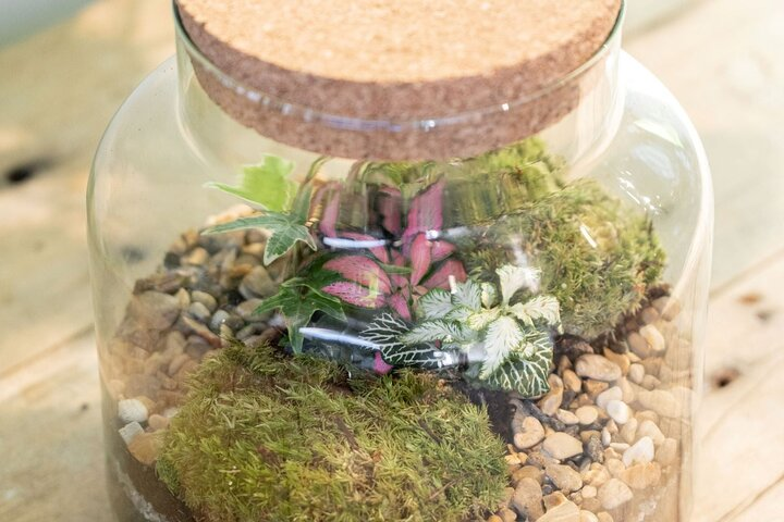 Terrarium Masterclass Experience in London - Photo 1 of 7